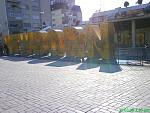 Prishtina - Newborn