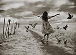 dreams