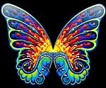 butterfly copy