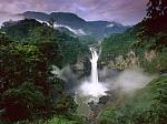 yasuni national park