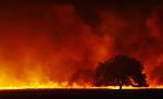 Line of Fire