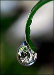 drop of water