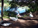 Enjoying the park and the zoo