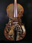 cello tigress