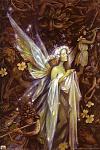 Brian Froud Faeries