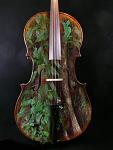 cello treetrunk