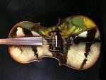 cellobutterfly