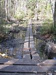 Trail through wetland