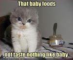 kitten is disappointed with baby food