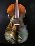 cello fox