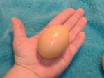 this is a giant egg.  it was so big I had to take a pic.