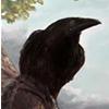 Nevermore's Avatar