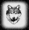 Humble_Wolf's Avatar