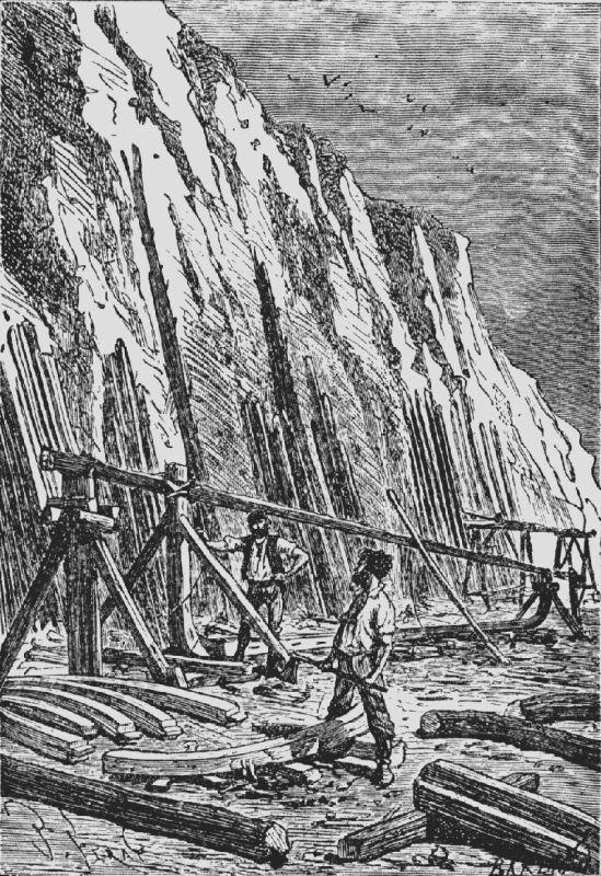THE DOCKYARD THE DOCKYARD