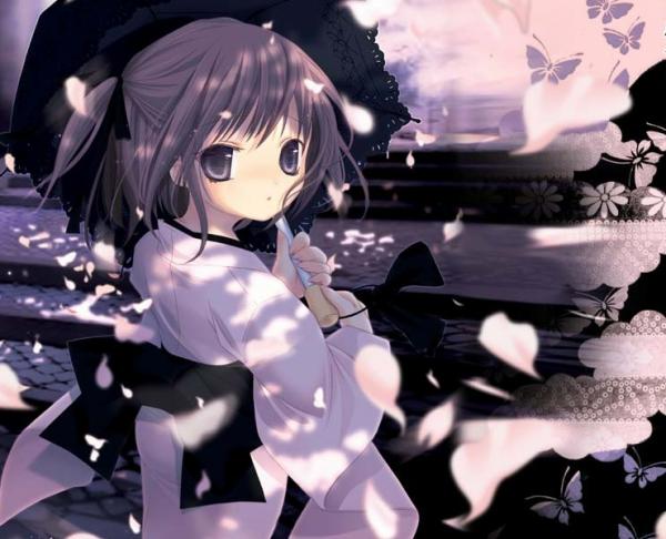 blackbutterfly