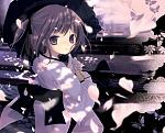 blackbutterfly