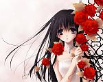 rose