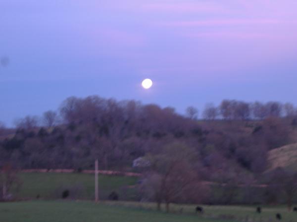 this is the moon rise over part of my field