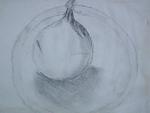 an onion