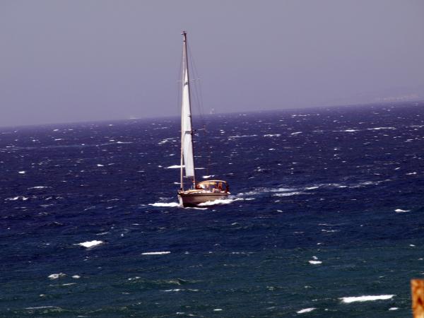 sailing