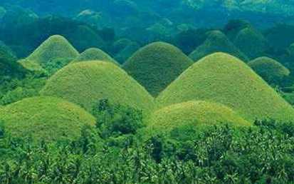 chocolate hills
A climb up 213 concrete steps on the other hill is an observation deck where one can view God's wondrous creations spread below as far as the eyes can see. The grasses which cover the hills turn brown in the cry season. Its uniqueness shows when the hills are wet, it turns into green and when the sun is up high, it turns brown.