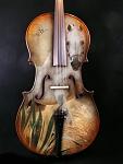 cello arabian