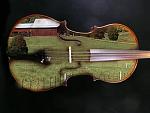 cello barn