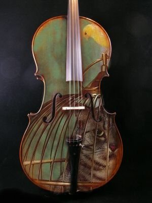 cello cat canary