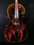 cello dragonrose