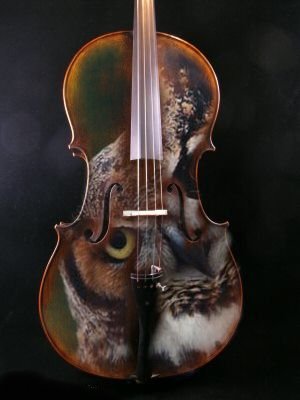 cello owl