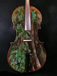 cello treetrunk