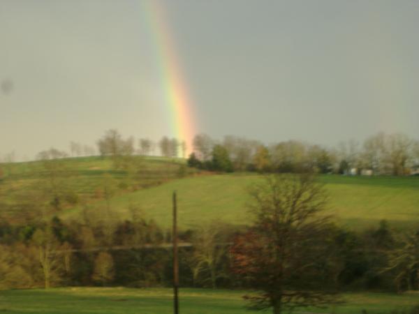 Rainbow