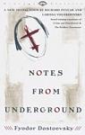 http://jakjonsun.files.wordpress.com/2007/06/notes_from_underground_cover.jpg