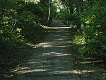 walking path