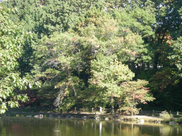 picture of lake