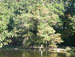 picture of lake