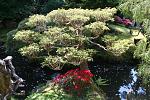tea Garden