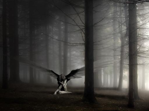 angel 1