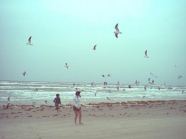 These are my young ones, on the beach somewhere in the Carolinas, some spring around the year 2000.
I didn't know how lucky I was.