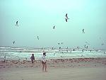 These are my young ones, on the beach somewhere in the Carolinas, some spring around the year 2000. 
I didn't know how lucky I was.