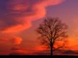 44673 wallpaper110