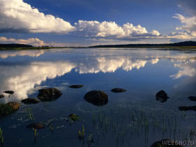 62636 wallpaper280