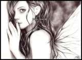 shy