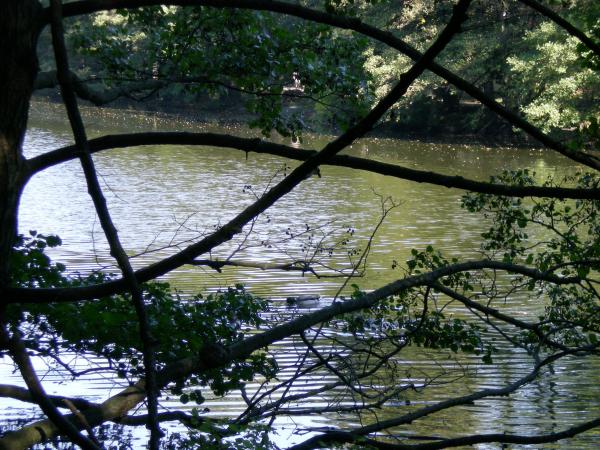picture of lake