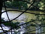 picture of lake