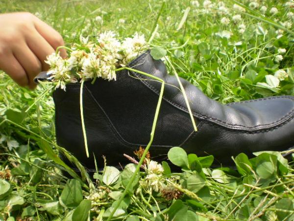 my shoe..
