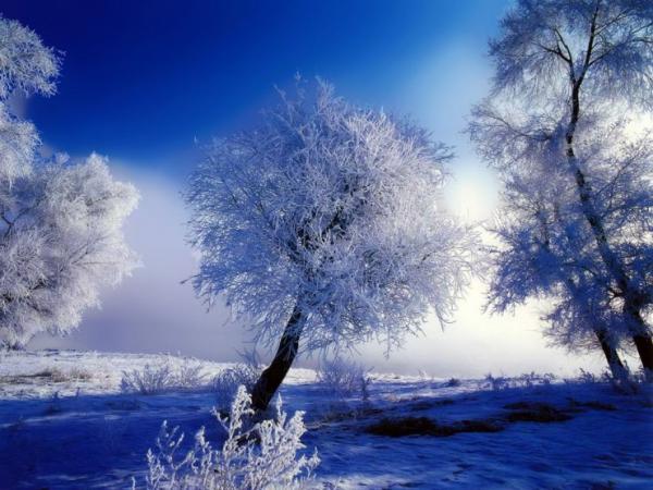white christmas