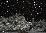 Tucson snow night 2