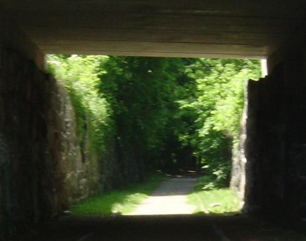 Out Of Darkness