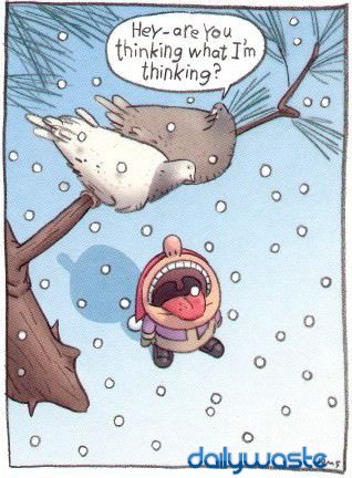 funny christmas card 4